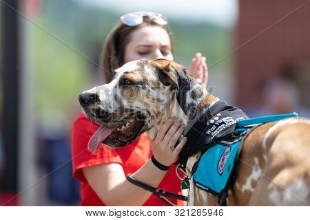 Buckhannon, West Virginia, Usa - May 18, 2019: Strawberry Festival, Young Woman Peting A Service Dog