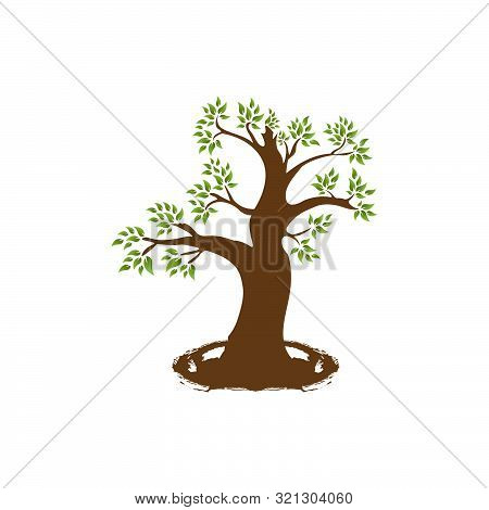 Leafy Tree Silhouette Vector & Photo (Free Trial) | Bigstock
