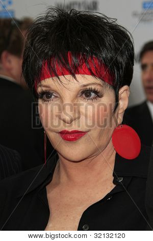 LOS ANGELES - APR 12: Liza Minnelli erreicht die TCM 40th Anniv von Graumans Chinese 