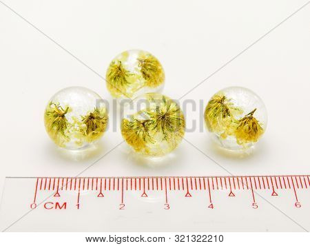 Flowers In Epoxy Resin, Preserving Fresh Flowers In Resin Means Preparing The Flowers First By Dryin