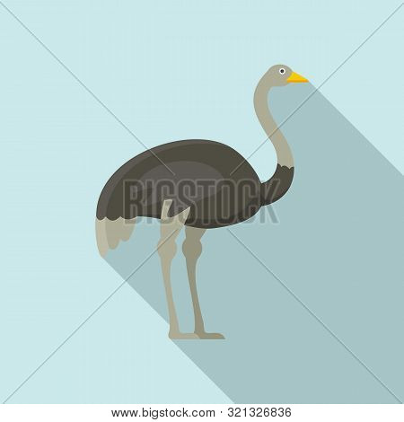 Grey Ostrich Icon. Flat Illustration Of Grey Ostrich Vector Icon For Web Design