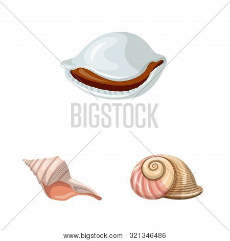 Isolated Object Of Seashell And Mollusk Icon. Collection Of Seashell And Seafood Stock Vector Illust