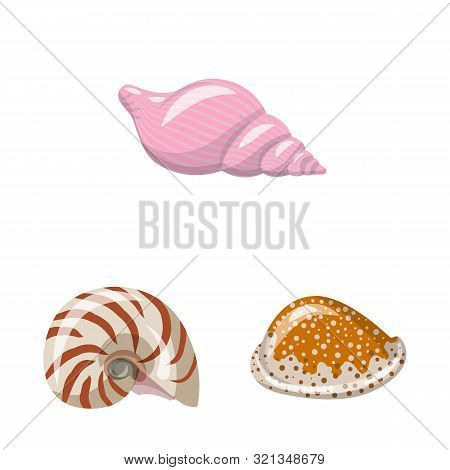 Vector Illustration Of Seashell And Mollusk Symbol. Collection Of Seashell And Seafood Vector Icon F