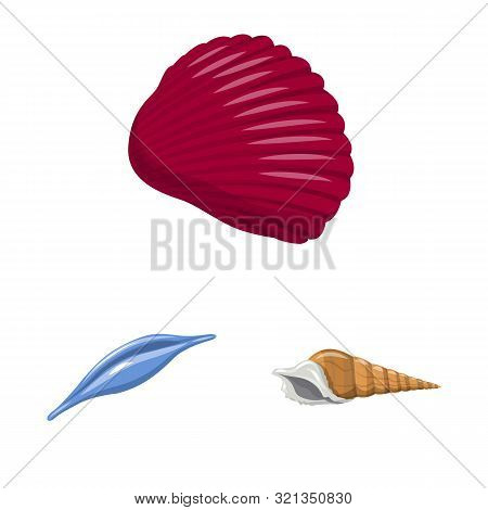 Vector Illustration Of Seashell And Mollusk Icon. Set Of Seashell And Seafood Vector Icon For Stock.