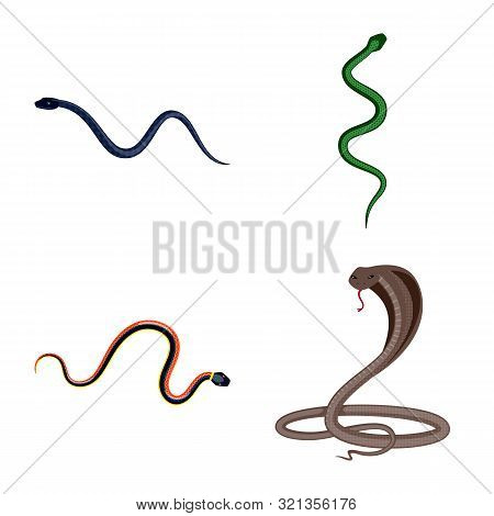 Vector Illustration Of Poison And Evil Icon. Collection Of Poison And Bite Vector Icon For Stock.