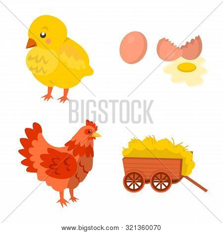 Isolated Object Of Farm And Poultry Logo. Set Of Farm And Agriculture Stock Symbol For Web.