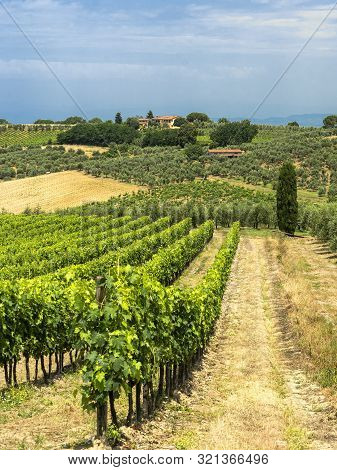 Rural Landscape Along The Road From Certaldo To Gambassi Terme, Florence, Tuscany, Italy, At Summer