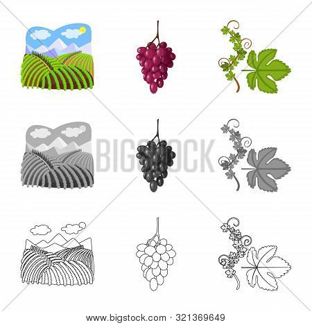 Isolated Object Of Farm And Vineyard Sign. Set Of Farm And Product Vector Icon For Stock.