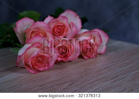 Dolce Vita Rose On Wood With Gray Background