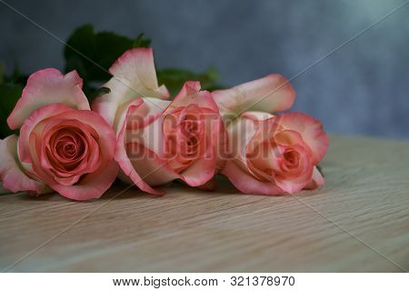Dolce Vita Rose On Wood With Gray Background