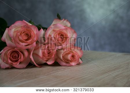 Dolce Vita Rose On Wood With Gray Background