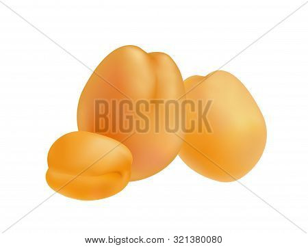 Set Of Ripe Realistic Apricots. Vector Illustration Of Fresh Juicy Apricot Isolated On A White Backg