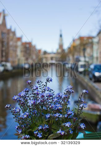 Flowers Outdoors Over The Canal On Background Of The Traditional Dutch Town