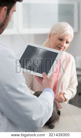 Confident doctor explaining x-ray result of russian blue cat to owner at clinic