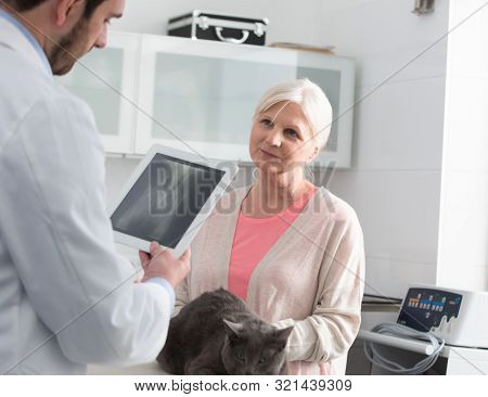 Confident doctor explaining x-ray result of russian blue cat to owner at clinic
