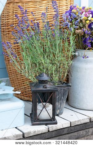 Vintage Rustic Candle Lantern With Lavander And Dried Flowers Standing Outsite On Wooden Porch. Deco