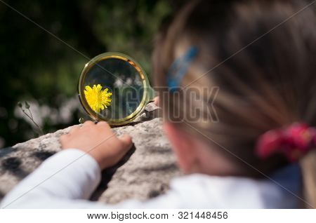 Girl The Explorer Of Nature With Magnifying Glass