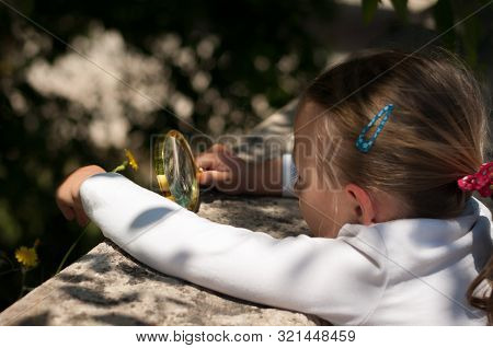 Girl The Explorer Of Nature With Magnifying Glass