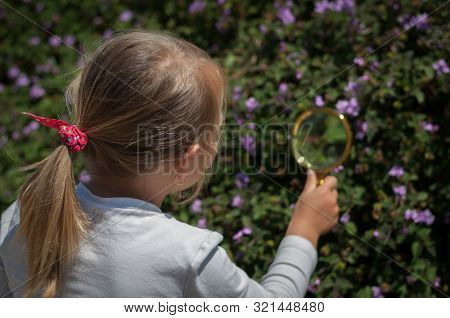 Girl The Explorer Of Nature With Magnifying Glass