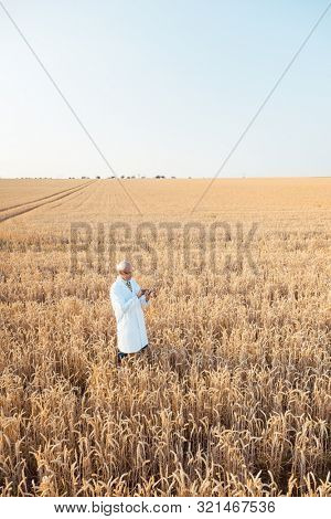 Agriculture scientist doing research in grain test field tracking data, wide shot