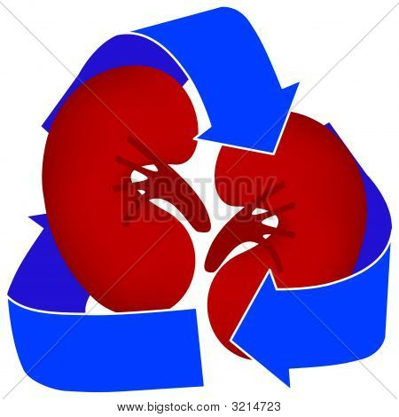 Nier medische pictogram