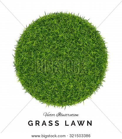 Fake Green Grass Or Astroturf Round Background Isolated