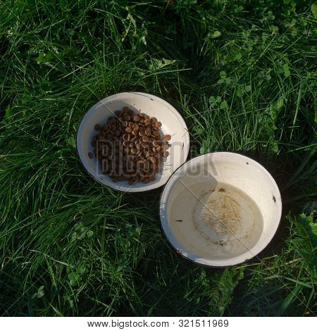 One Bowl With Pet Food Grains , Another With Water, Both Placed On The Frass, Outdoor Square Shot