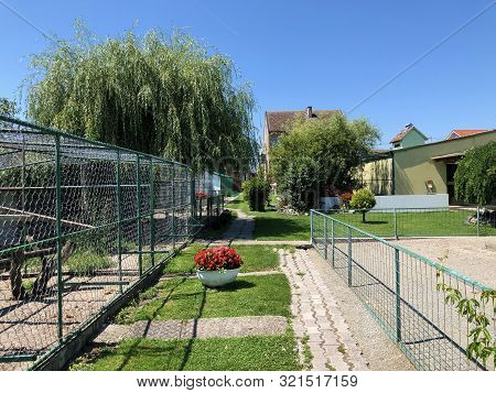 Private Garden Near City Of Slavonski Brod, Croatia