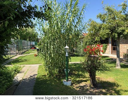 Private Garden Near City Of Slavonski Brod, Croatia