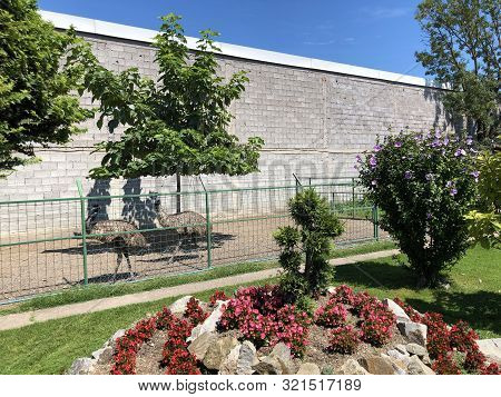 Private Garden Near City Of Slavonski Brod, Croatia