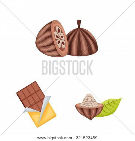Isolated Object Of Cocoa And Beans Logo. Set Of Cocoa And Sweetness Vector Icon For Stock.