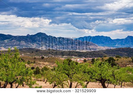 Landscape View Of Barinas Near Murcia In Spain