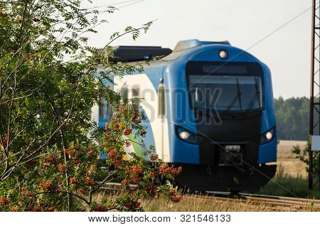 Train
