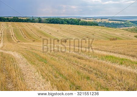 Rectangular Straw Briquettes After Harvesting Wheat On The Field. Lines On The Field Extending Into