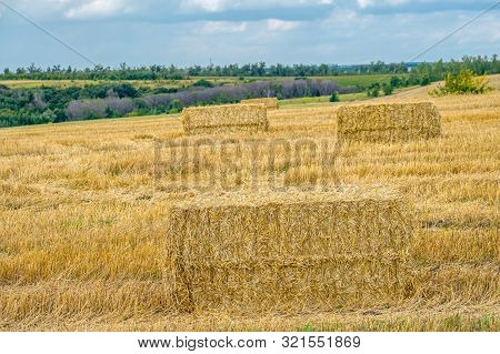 Rectangular Straw Briquettes After Harvesting Wheat On The Field.