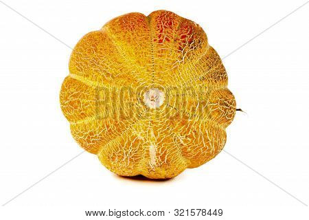 Melon Isolated On White Background. Copy Space For Text