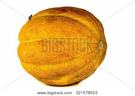 Melon Isolated On White Background. Copy Space For Text