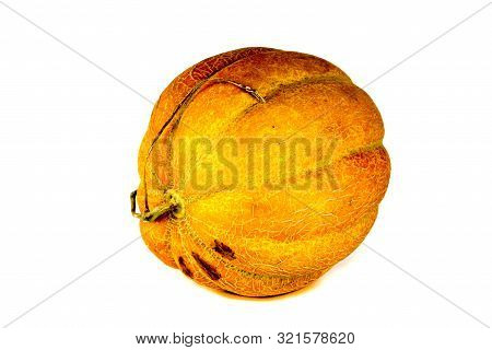 Melon Isolated On White Background. Copy Space For Text