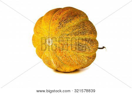 Melon Isolated On White Background. Copy Space For Text