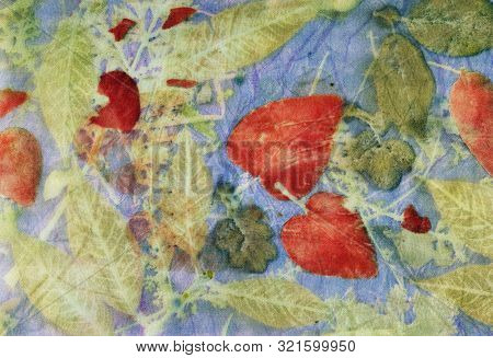 Botanical Print With Leaf Prints On Natural Silk. Hand-drawn Illustration.