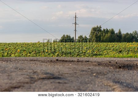 Electric Pole On A Field With Sunflowers. High-voltage Pole In The Field With The Destroyed Part And