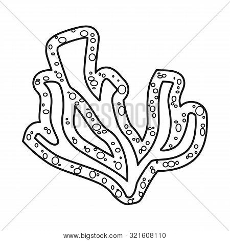 Vector Design Of Lichen And Algae Symbol. Set Of Lichen And Water Vector Icon For Stock.