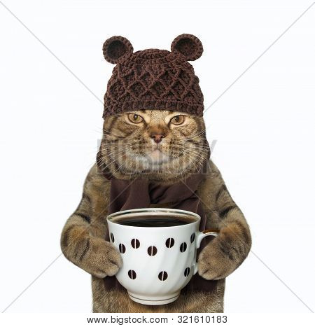 The Cat In Woolly Hat And Scarf Is Holding A Cup Of Black Coffee. White Background. Isolated.