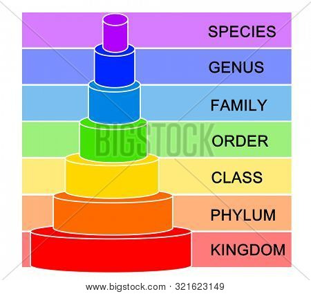 Colorful Hierarchy of Biological Classification