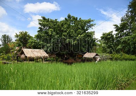 Kanchanaburi, Thailand, 09.09.2019: Beautiful Garden, Lake, Traditional Thai, Siamese Clothes, Build