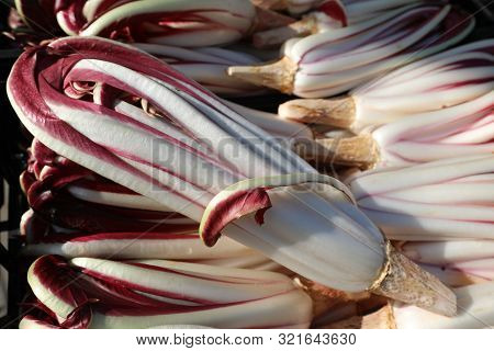 Ripe Red Chicory Called Radicchio Tardivo In Italian Language For Sale At Vegetable Market In Winter