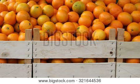 Many Boxes Of Big Ripe Oranges For Sale At Market