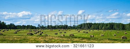 Beautiful Landscape, Agricultural Field And Round Bundles Of Dry Grass In The Field Against The Blue