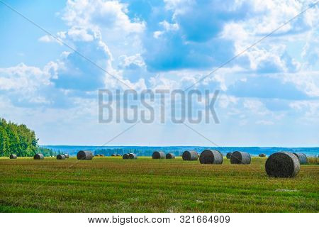 Landscape with the image of ?entral russian nature