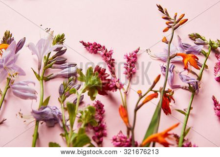 Close-up Of Twigs Of Wildflowers On Pink Background